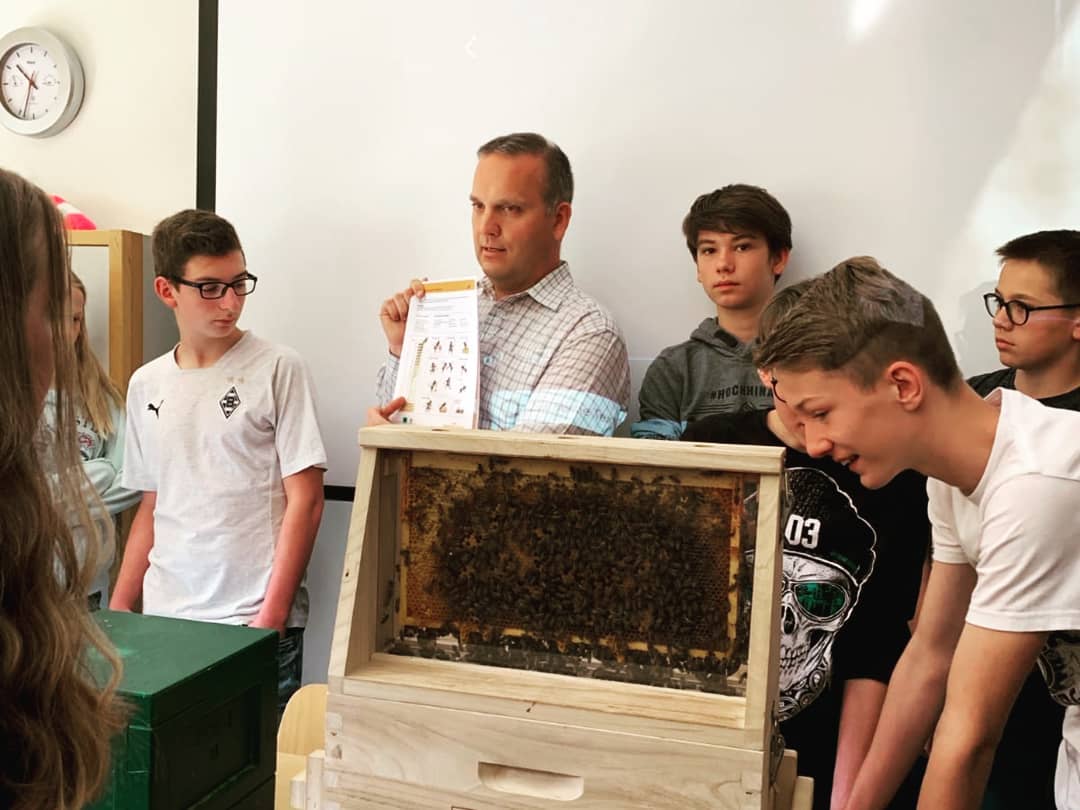 Bienen in der Schule